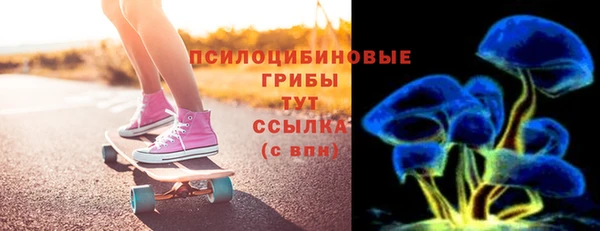 стафф Богданович