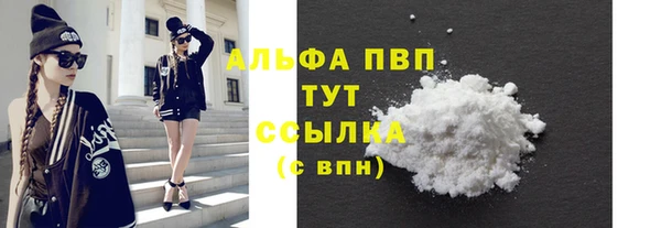 амф Вяземский
