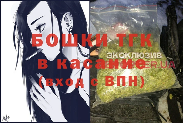 амф Вяземский