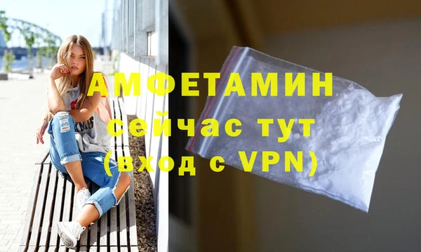 гидра Весьегонск