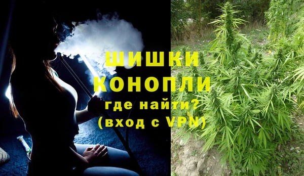 амф Вяземский