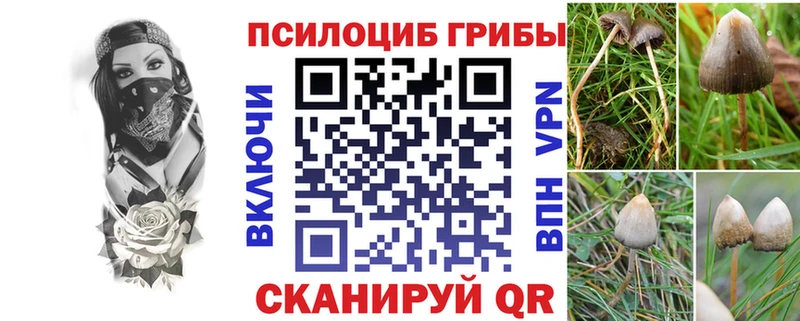 МЕГА сайт  Енисейск  Псилоцибиновые грибы MAGIC MUSHROOMS 